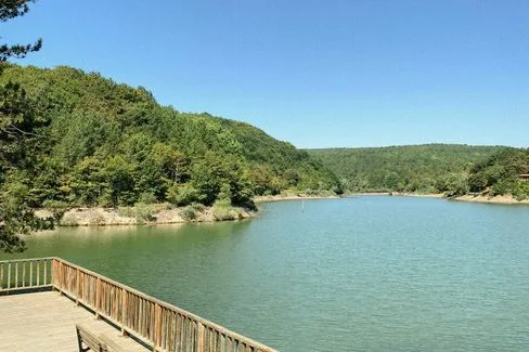 Tours & Activities in Beaver Lake