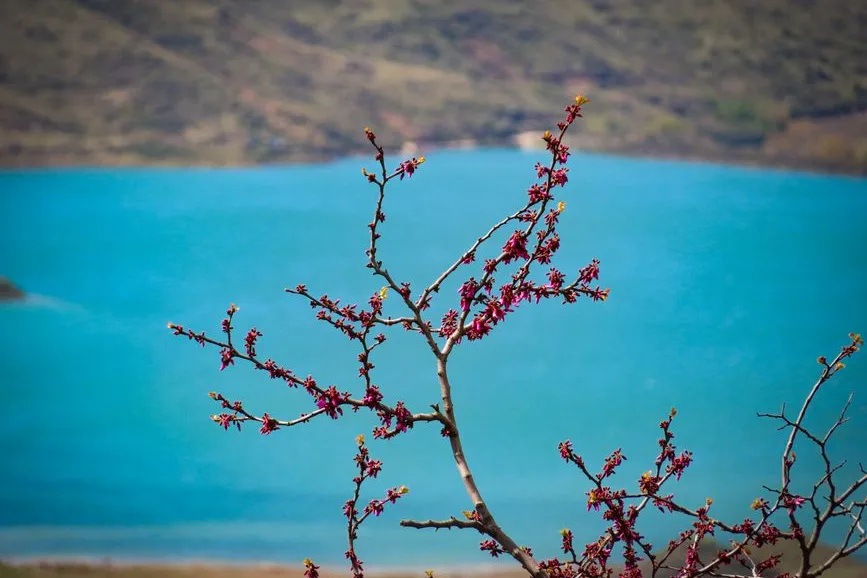 Tours & Activities in Turquoise Lake