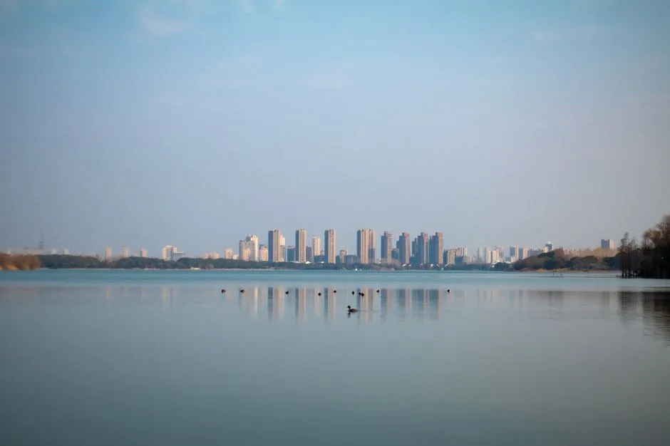 Tours & Activities in East Lake