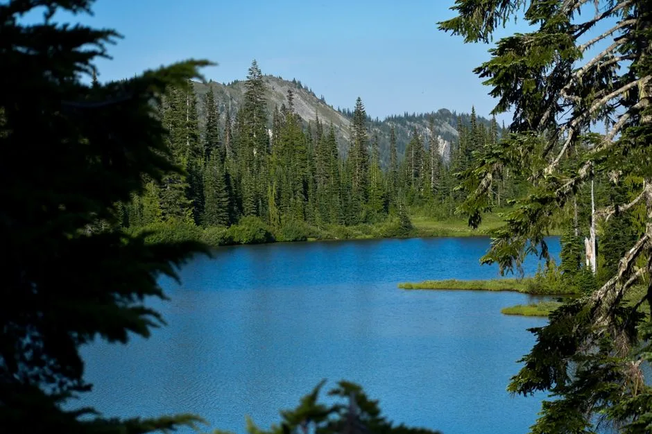 Tours & Activities in Miller Lake