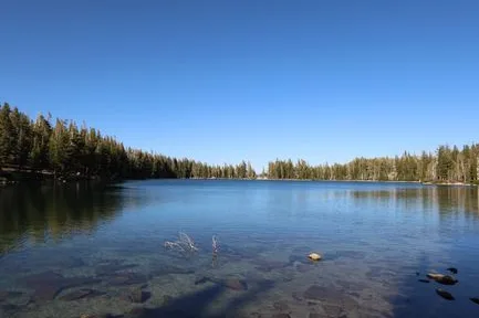 Tours & Activities in Miller Lake