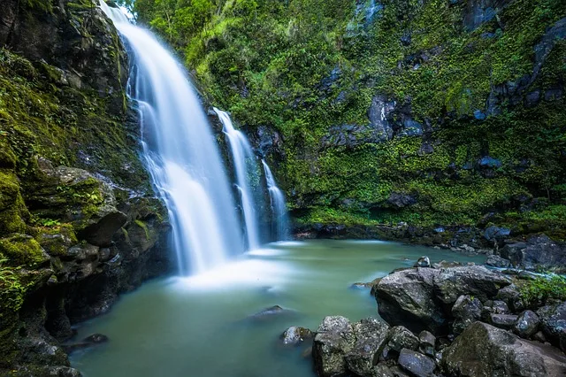 Tours & Activities in Rock Creek