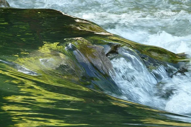 Tours & Activities in Rock Creek
