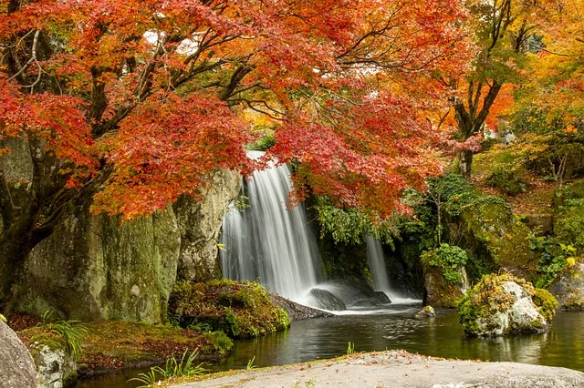 Tours & Activities in Rock Creek