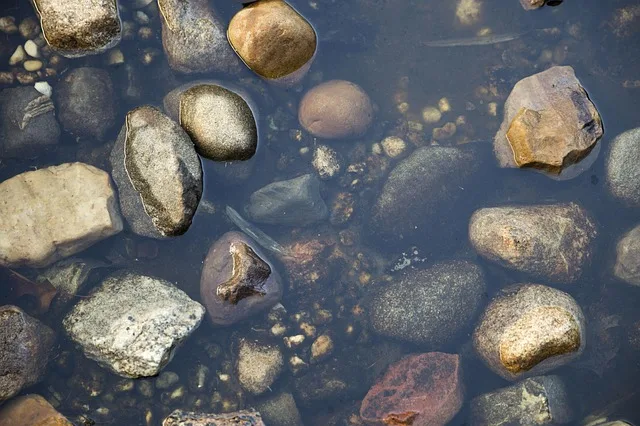 Tours & Activities in Pebble Creek