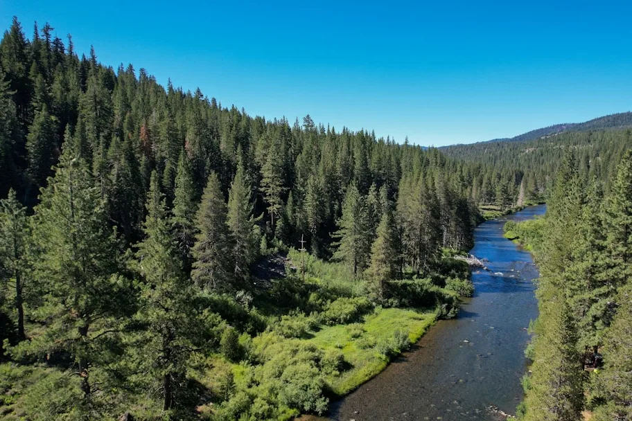 Tours & Activities in Truckee River