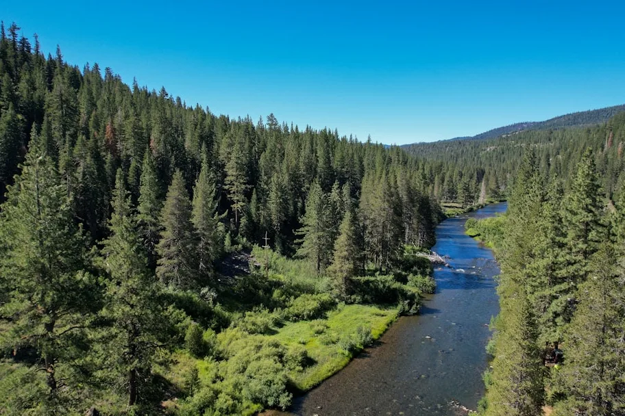 Tours & Activities in Truckee River