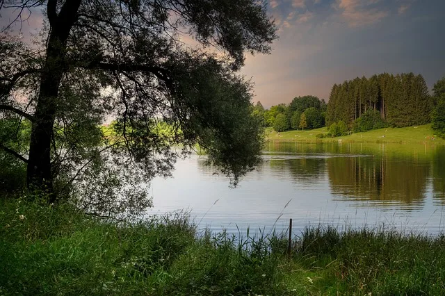 Tours & Activities in Prosser Creek Reservoir