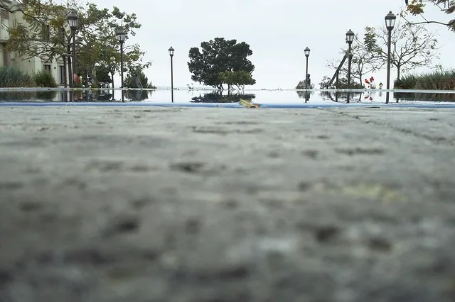 Tours & Activities in Cashes Ledge