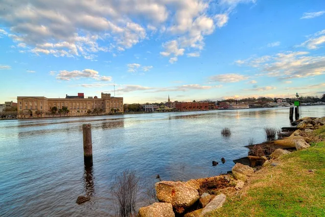 Tours & Activities in Cape Fear Ledge