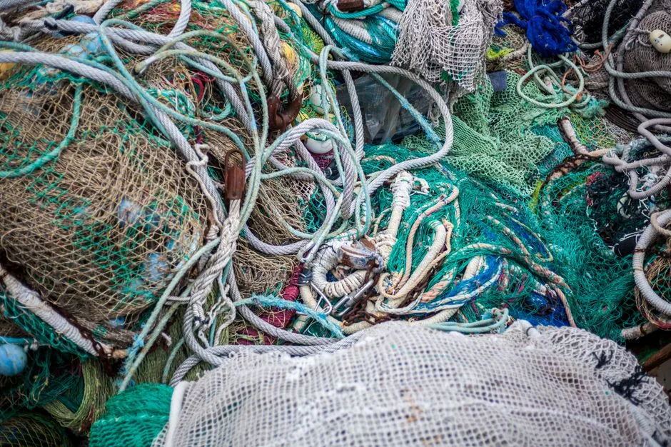 Tours & Activities in The Texas Trawl Grounds