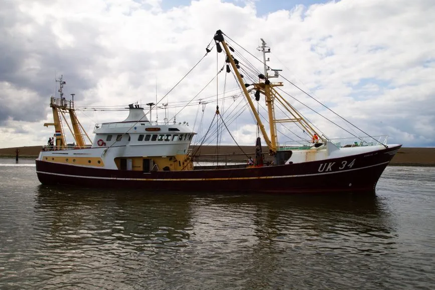 Tours & Activities in The Texas Trawl Grounds