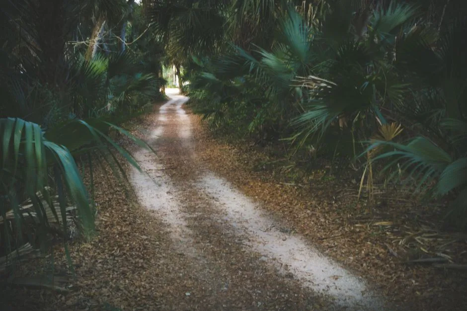 Tours & Activities in Florida Middle Grounds