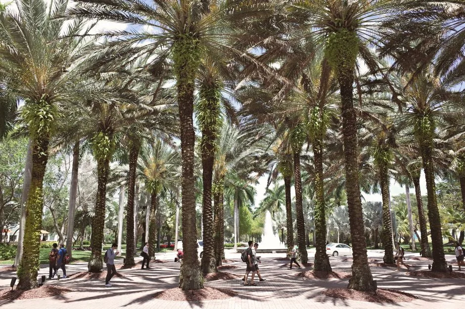 Tours & Activities in Florida Middle Grounds