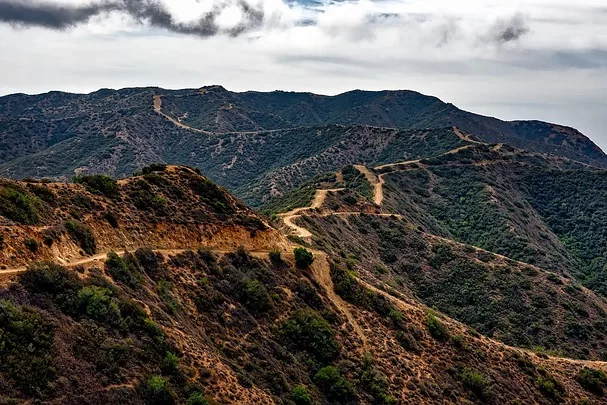 Tours & Activities in Catalina Island Offshore