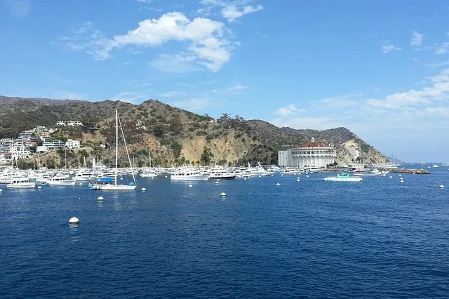 Tours & Activities in Catalina Island Offshore