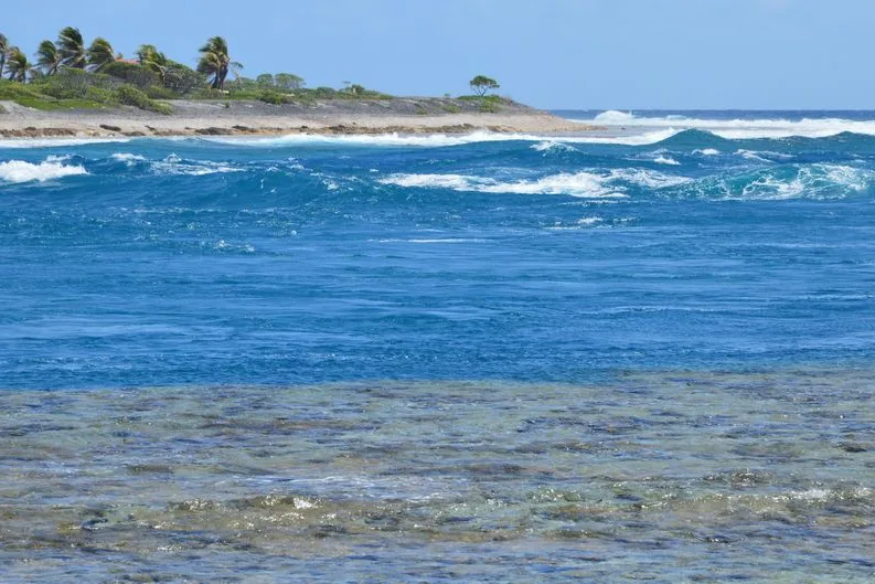 Tours & Activities in Portlock Bank