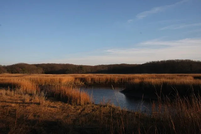 Tours & Activities in Anderson Marsh State Historic Park