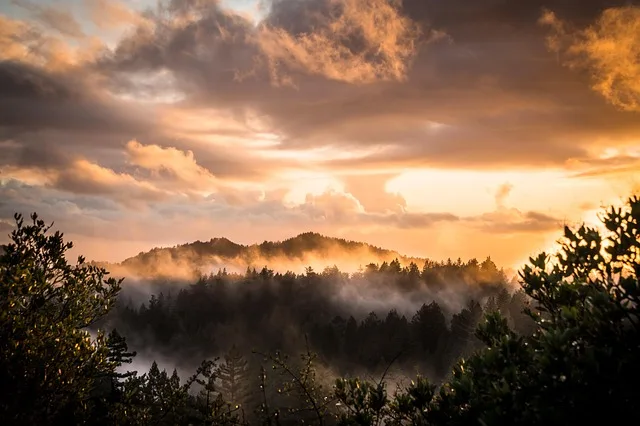 Tours & Activities in Andrew Molera State Park