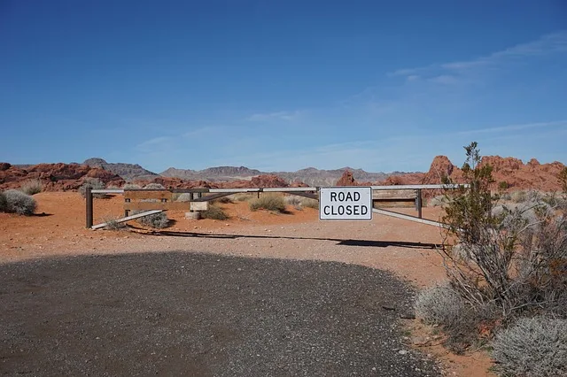 Tours & Activities in Anza-Borrego Desert State Park