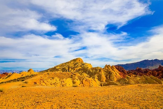 Tours & Activities in Arthur B. Ripley Desert Woodland State Park