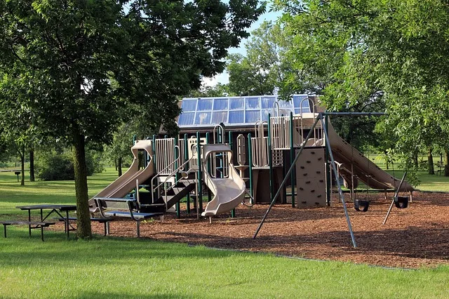 Tours & Activities in Austin Creek State Recreation Area