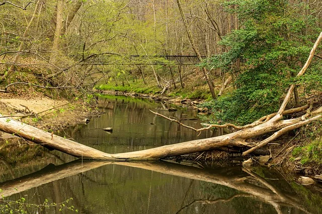 Tours & Activities in Austin Creek State Recreation Area