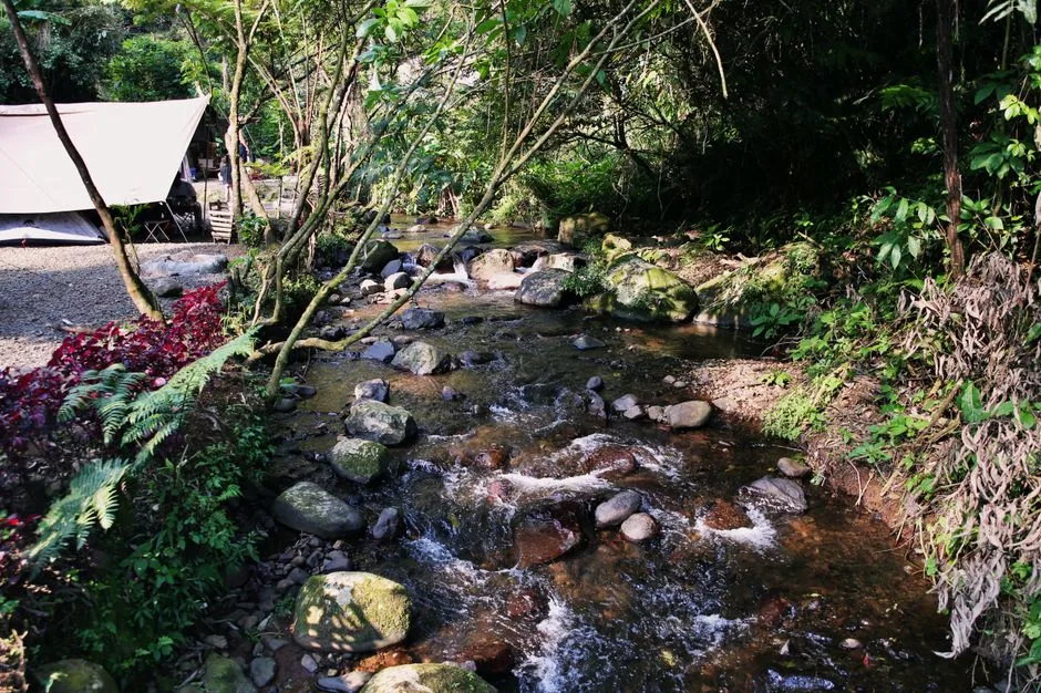 Tours & Activities in Wolf Creek Campground