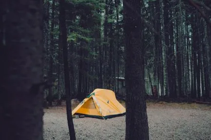 Tours & Activities in Yellow Jacket Campground