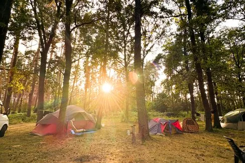 Tours & Activities in Sunset Campground
