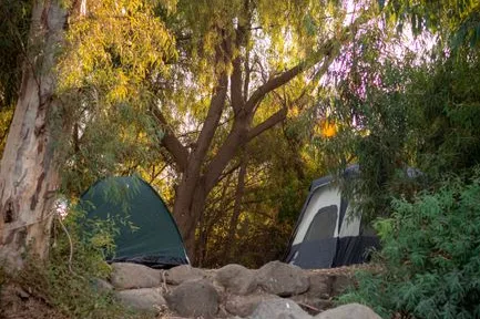 Tours & Activities in Fashoda Campground
