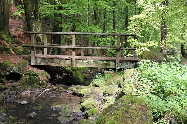 Tours & Activities in Silver Creek Group Campground