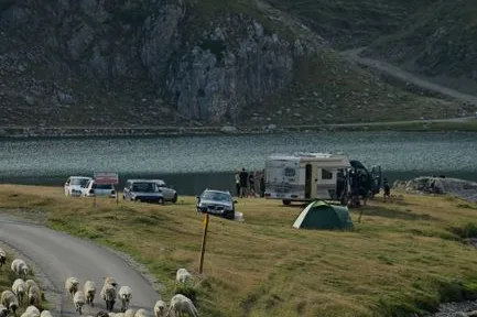 Tours & Activities in Sheep Camp