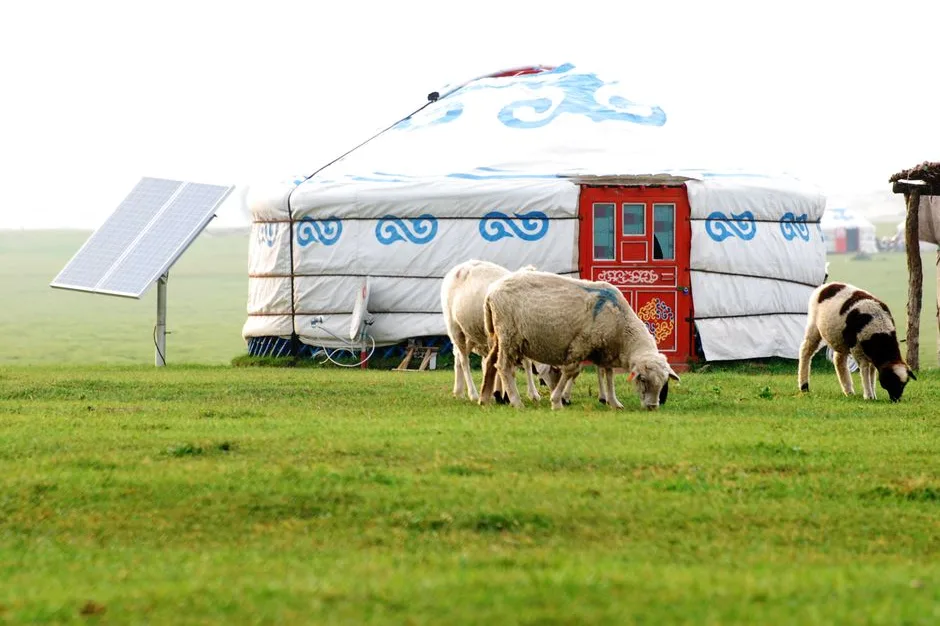 Tours & Activities in Sheep Camp