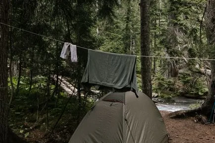 Tours & Activities in Upper Virginia Creek Primitive Campground