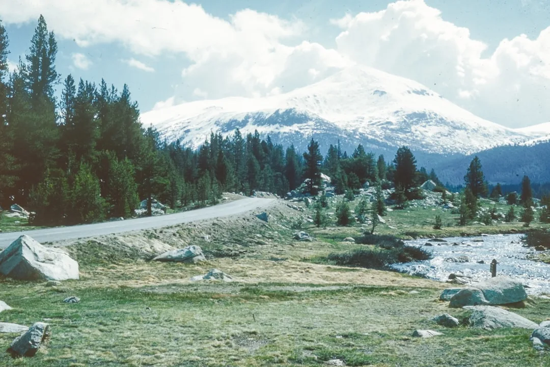 Tours & Activities in Tenaya Lake