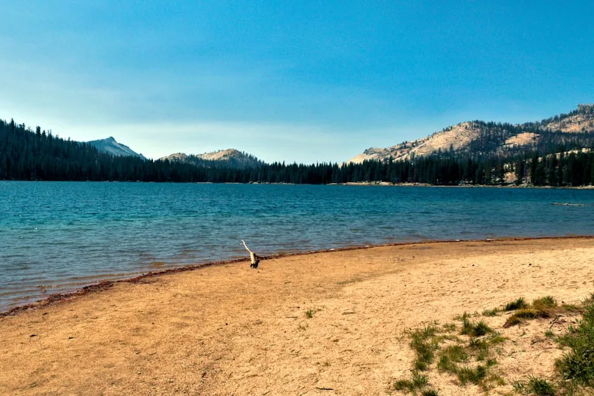 Tours & Activities in Tenaya Lake