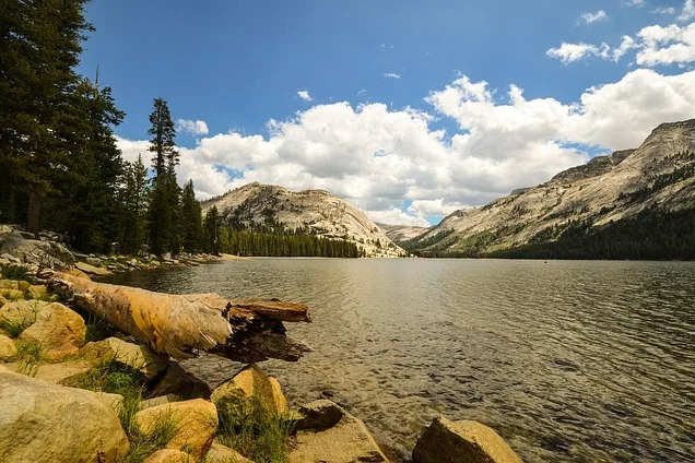 Tours & Activities in Tioga Lake