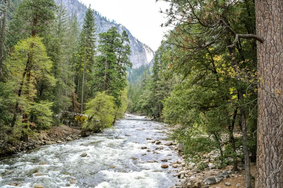 Tours & Activities in Merced River