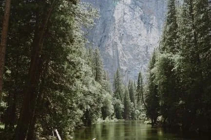 Tours & Activities in Merced River