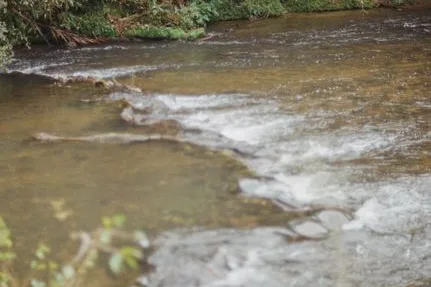 Tours & Activities in Clavey River