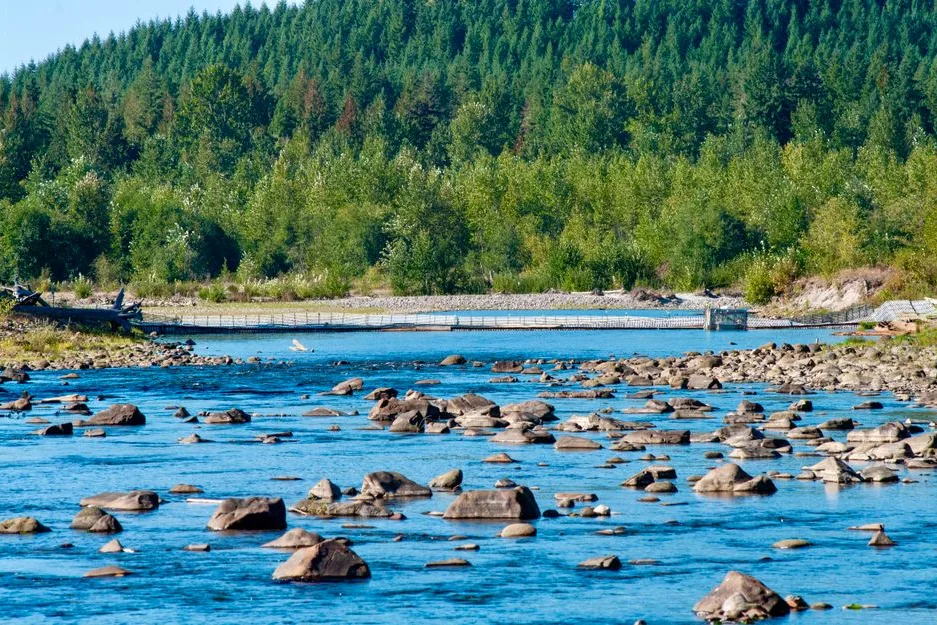 Tours & Activities in Clavey River