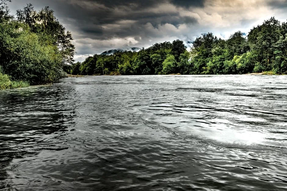 Tours & Activities in Clavey River