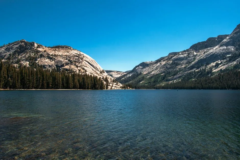 Tours & Activities in Tenaya Creek
