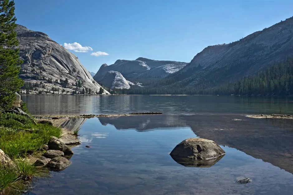 Tours & Activities in Tenaya Creek