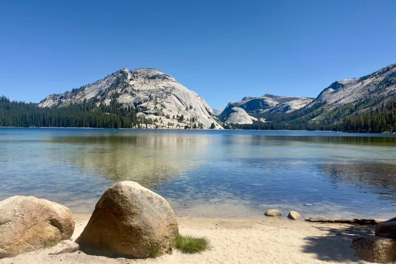 Tours & Activities in Tenaya Creek