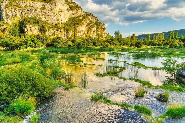 Tours & Activities in Tuolumne River