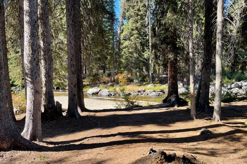 Tours & Activities in Clear Creek Camp