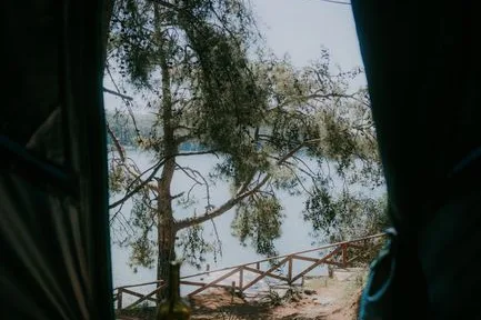 Tours & Activities in Crazy Jug Vista Campground