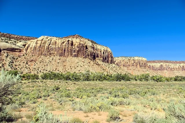 Tours & Activities in Monument Creek